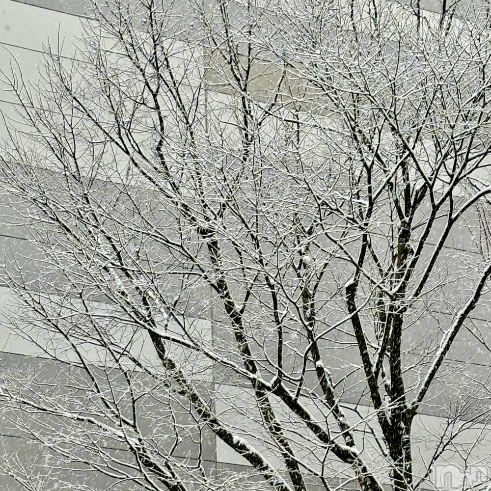 ĮХ顦club Diana(֥ǥ) ꤫26̥֥⛄❄
