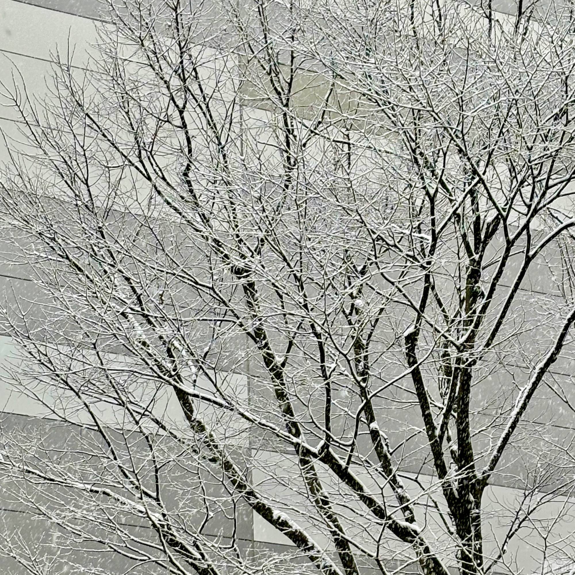 ĮХ顦club Diana(֥ǥ) 2025ǯ26̥֥⛄❄