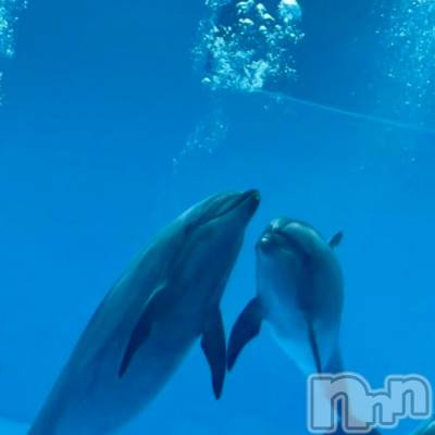 ĮХ顦club Diana(֥ǥ) ꤫25ֿ̥֥²🐠🐟🐬