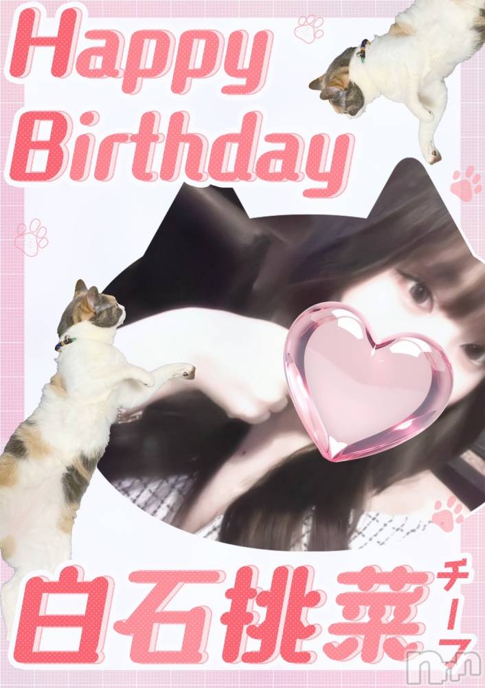 ĮХ顦club Diana(֥ǥ) Ϥʤ228̥֥🌸жФޤ🌸