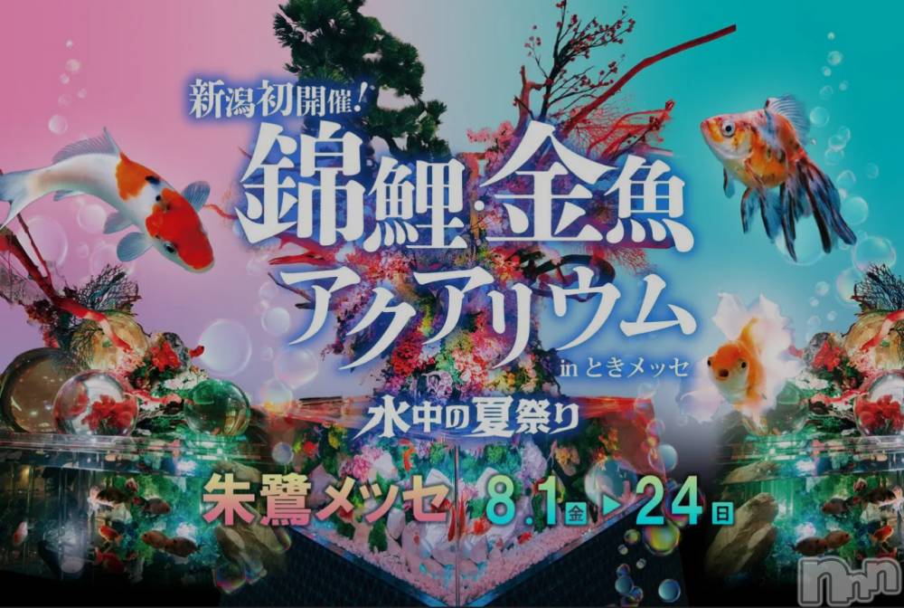 ĮХ顦club Diana(֥ǥ) Ϥʤ830̥֥🌸жФޤ🌸