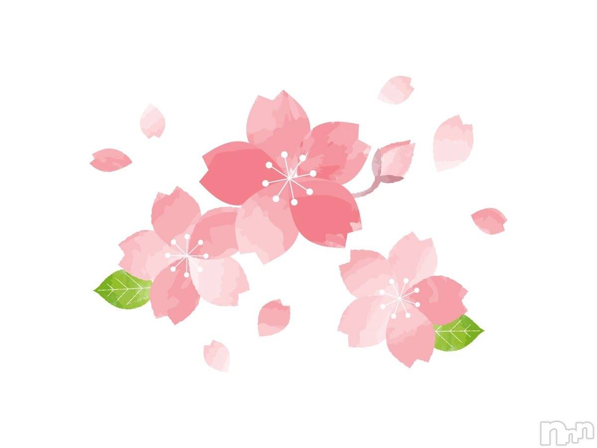 ĮХ顦club Diana(֥ǥ) 2025ǯ331̥֥🌸٤ߤޤ🌸