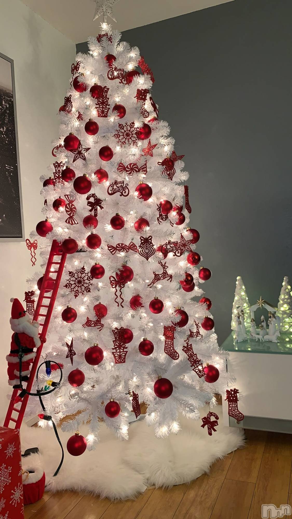 ĮХ顦club Diana(֥ǥ) 2025ǯ1121̥֥🌸жФޤ🌸