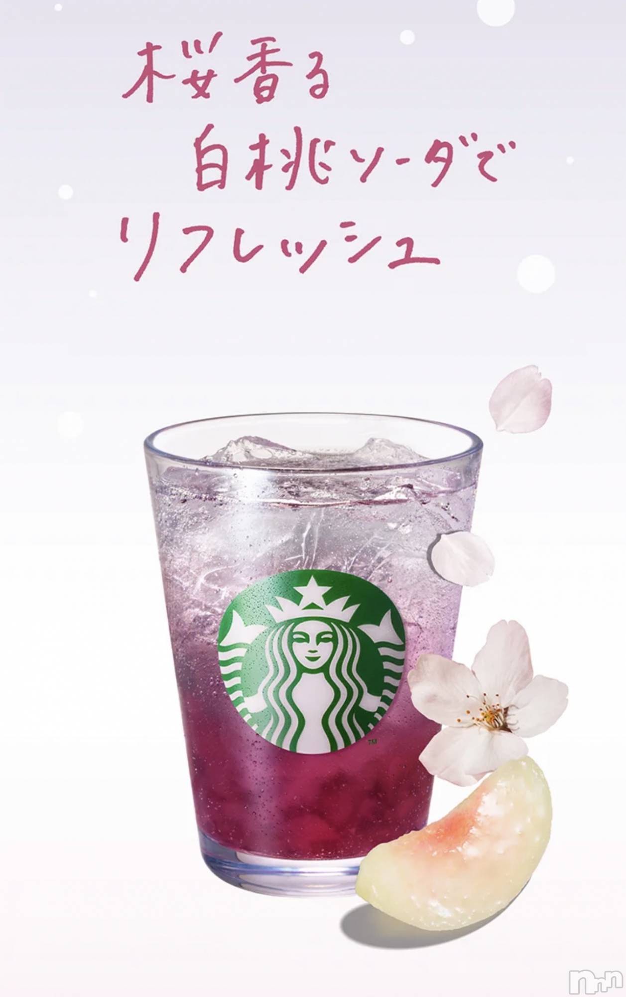 ��Į����Х��顦�����club Diana(����֥ǥ�����) ��2026ǯ3��10���̥�֥�����🌸�жФ��ޤ�🌸��