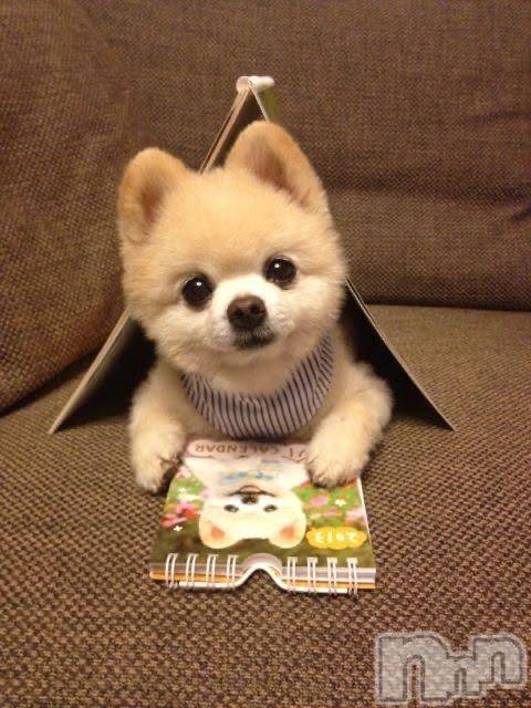 新潟デリヘルGRACE 新潟(グレース ニイガタ) 弥生(やよい)(29)の10月25日写メブログ「あと26日✨」