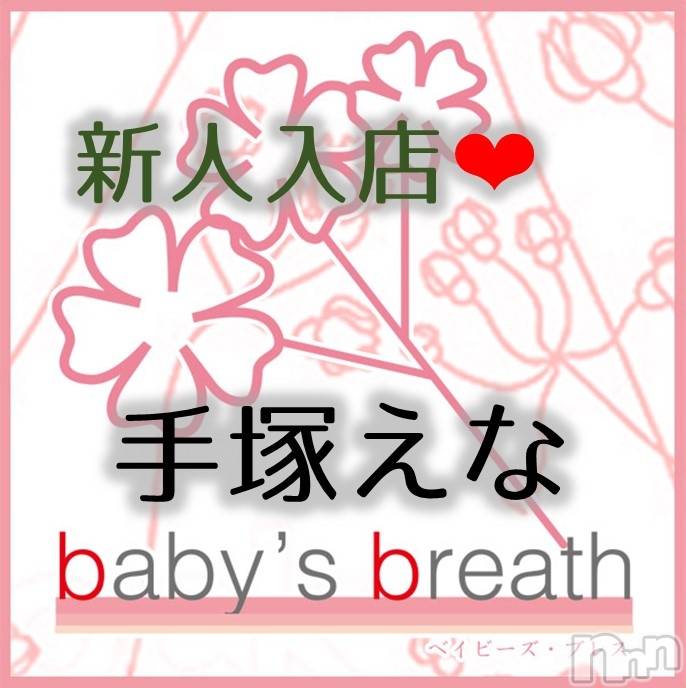 㿷ȯĥꥢ󥺥baby's breath(٥ӡ ֥쥹) ͤʡڿۤ͡21ֽ̥֥ޤơͤʤǤ