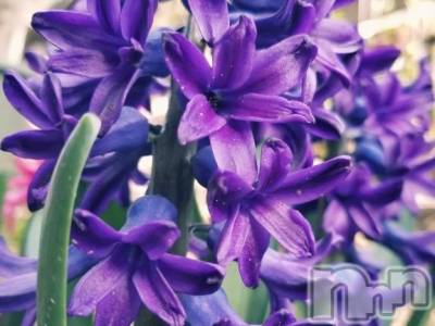 長岡デリヘル 奥様特急 長岡店(オクサマトッキュウナガオカテン) ふゆな(28)の3月11日写メブログ「レベルアップ💓」