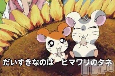 長岡デリヘル 奥様特急 長岡店(オクサマトッキュウナガオカテン) ふゆな(28)の3月13日写メブログ「明日でかえるよー♡」