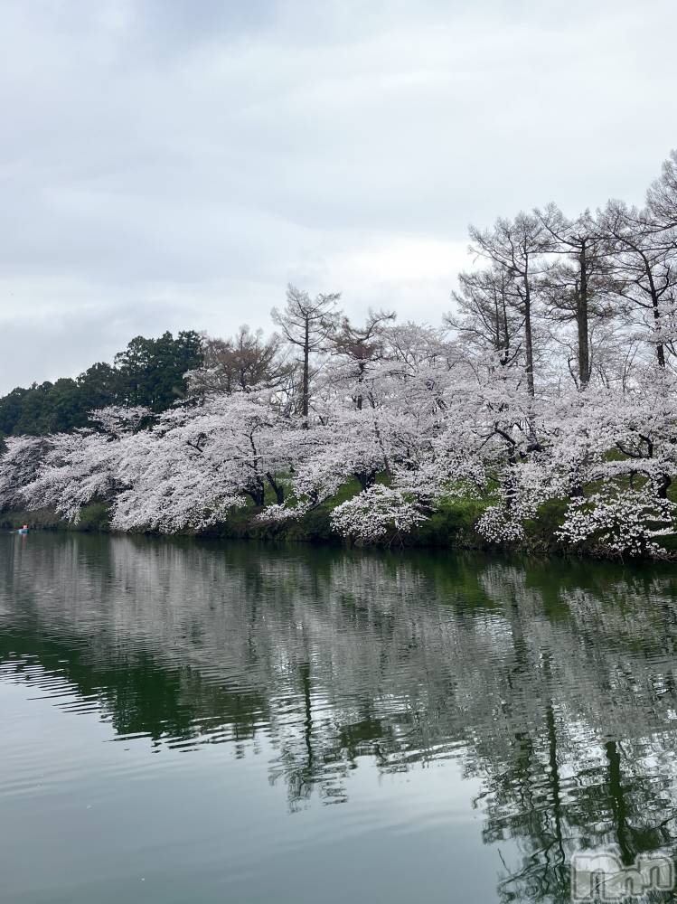 ĮХ顦Lounge R Style(饦󥸥륹) ۤ411̥֥֤äȤָ🌸