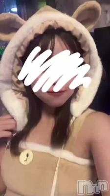 ץ졪🐻💗