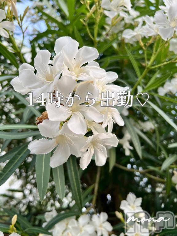 新潟人妻デリヘル熟女の風俗 最終章(ジュクジョノフウゾクサイシュウショウ)もな(43)の2025年7月8日写メブログ「顎出し😑」