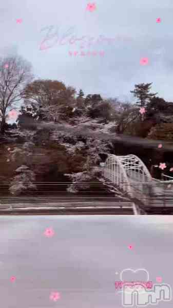 もなの動画 到着してまぁーす٩( ᐛ )و