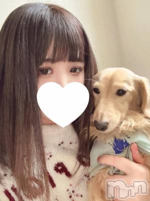 新潟デリヘル 奥様特急 新潟店(オクサマトッキュウニイガタテン) ののか(26)の2月5日写メブログ「私の愛犬🐶💓」