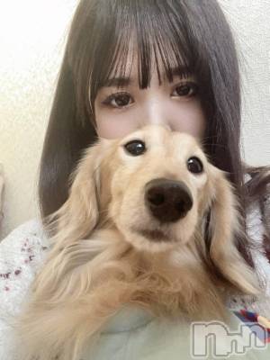 新潟デリヘル 奥様特急 新潟店(オクサマトッキュウニイガタテン) ののか(26)の2月12日写メブログ「愛犬🐶💗」