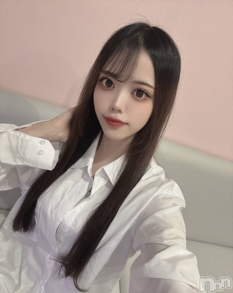 ʥå륺СLAPLUS(ץ饹) ʤĤ213̥֥ĹǯǺߡ