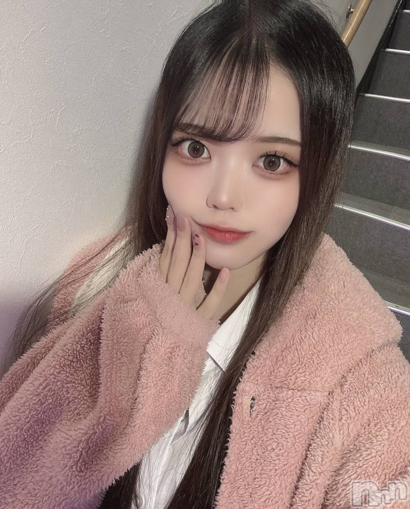 ʥå륺СLAPLUS(ץ饹) ʤĤ224̥֥֤ΤϤʤ