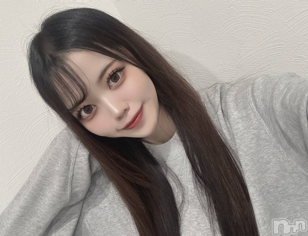 ʥå륺СLAPLUS(ץ饹) ʤĤ226̥֥֤襤