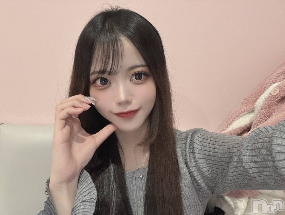 ʥå륺СLAPLUS(ץ饹) ʤĤ328̥֥֤Τߤ١