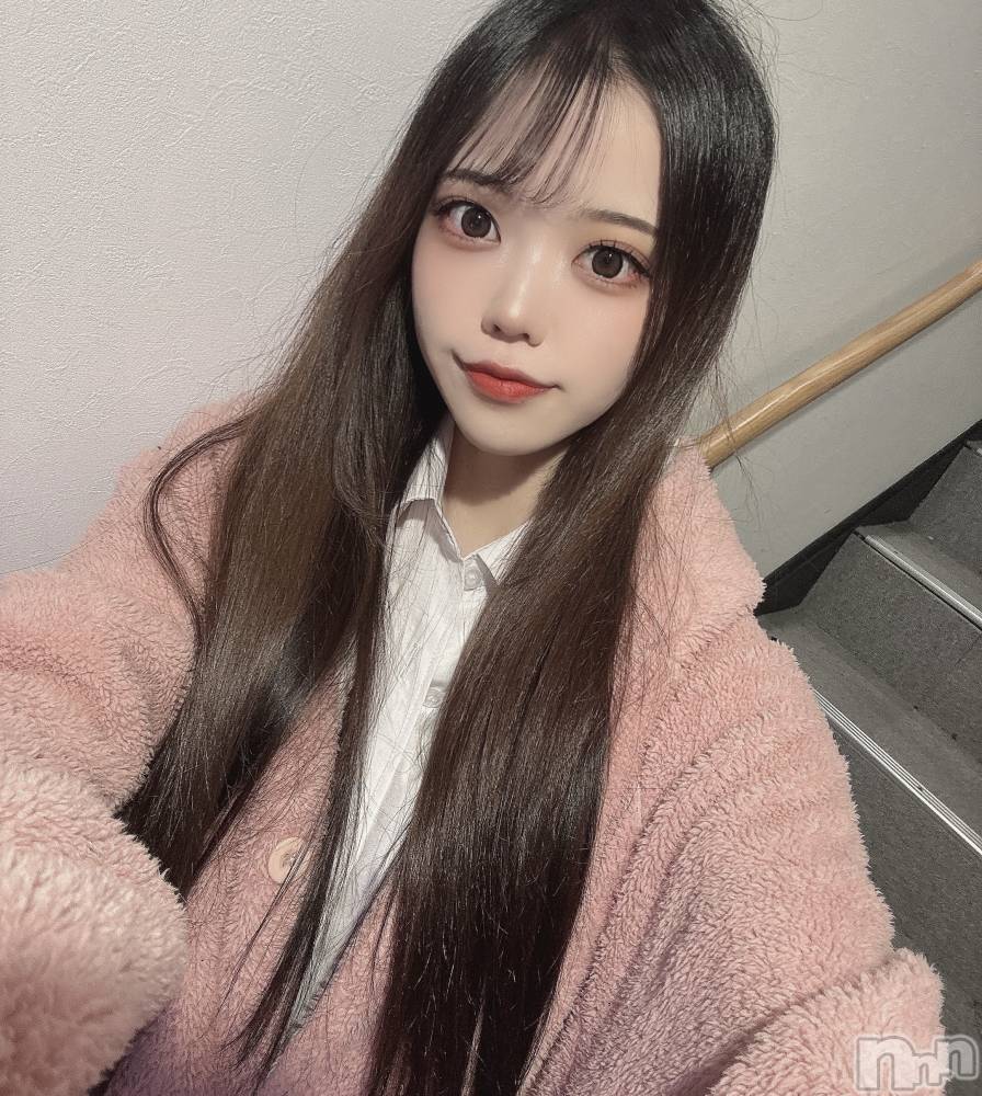 ʥå륺СLAPLUS(ץ饹) ʤĤ331̥֥