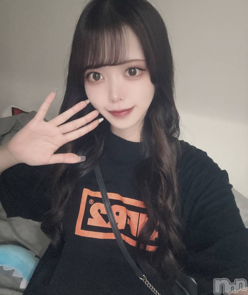 ʥå륺СLAPLUS(ץ饹) ʤĤ84̥֥֤ʤˤ