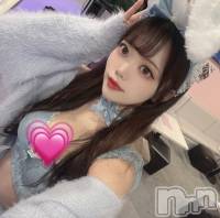 ʥå륺СLAPLUS(ץ饹) ʤĤ116ִ̥֥ȤԤ