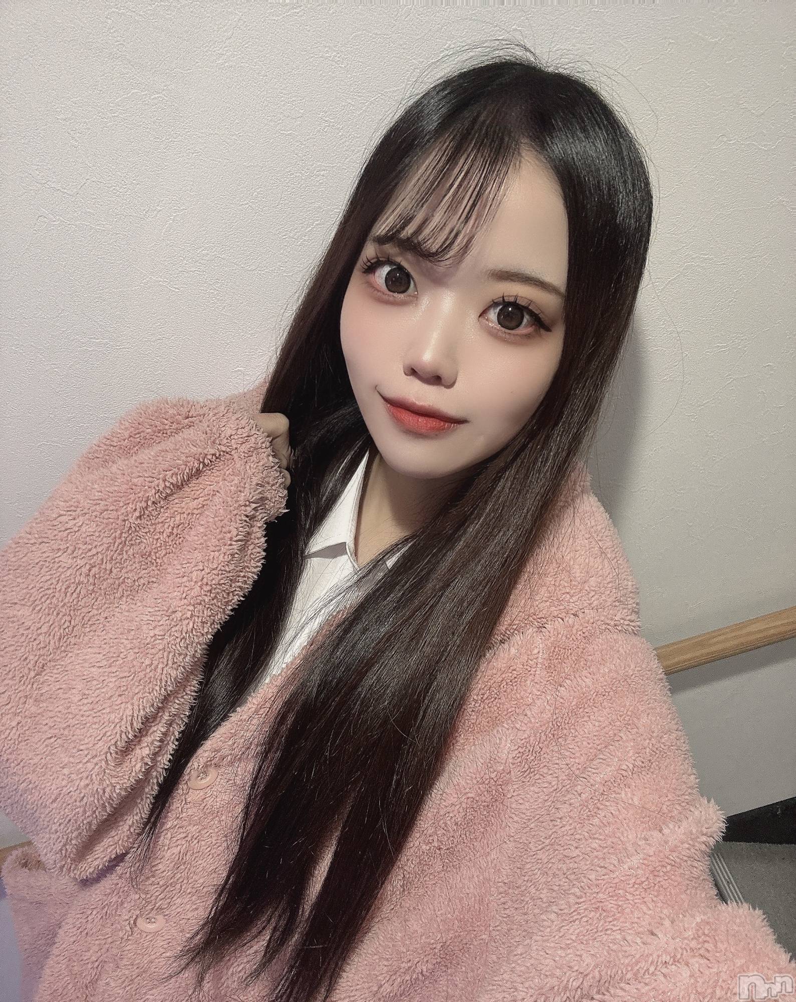 ʥå륺СLAPLUS(ץ饹) 2025ǯ221̥֥֤