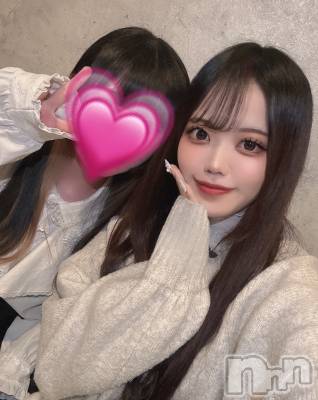 ʥå륺СLAPLUS(ץ饹) ʤĤ212̥֥֥֤󥺡