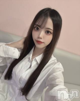 ʥå륺СLAPLUS(ץ饹) ʤĤ213̥֥ĹǯǺߡ