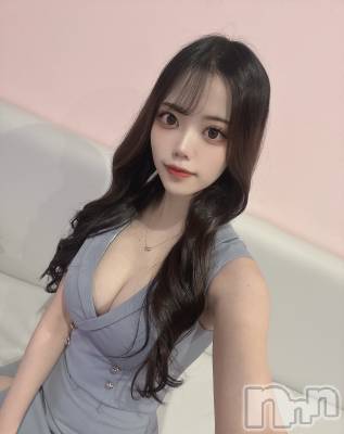 ʥå륺СLAPLUS(ץ饹) ʤĤ222̥֥֤Ĥˡ