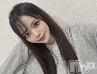 ʥå륺СLAPLUS(ץ饹) ʤĤ226̥֥֤襤