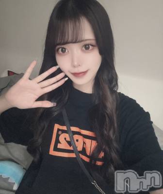 ʥå륺СLAPLUS(ץ饹) ʤĤ84̥֥֤ʤˤ