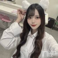 ����������ʥå��������륺�С� LAPLUS(��ץ饹) �ʤĤβ���(3����)