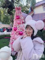 ʥå륺С饪աɥС Mimi(饪աɥС ߥ) ʤ1211̥֥֤