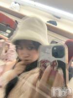 ʥå륺С饪աɥС Mimi(饪աɥС ߥ) ʤ1213̥֥֤