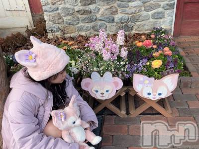 ʥå륺С饪աɥС Mimi(饪աɥС ߥ) ʤ219̥֥֤󤸤礦Ӥ