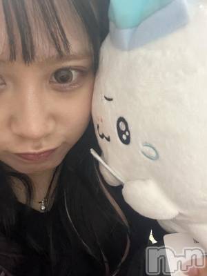 ʥå륺С饪աɥС Mimi(饪աɥС ߥ) ʤ222̥֥֤ԡ