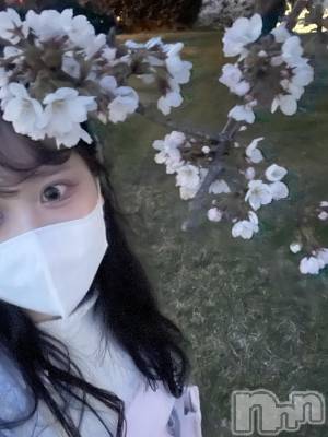 ʥå륺С饪աɥС Mimi(饪աɥС ߥ) ʤ412̥֥֤ΤϤʤӤ顡Ȥ