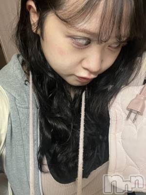 ʥå륺С饪աɥС Mimi(饪աɥС ߥ) ʤ428̥֥֤Ԥ