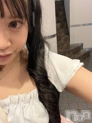 ʥå륺С饪աɥС Mimi(饪աɥС ߥ) ʤ112̥֥֤͡