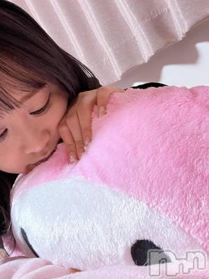 ʥå륺С饪աɥС Mimi(饪աɥС ߥ) ʤ1112̥֥֤Ȥ졼ȡ