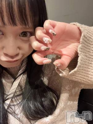 ����������ʥå��������륺�С����饪���ա��ɥС� Mimi(���饪���ա��ɥС� �ߥ�) ��ʤ�2��19���̥�֥����֤���ޤ��