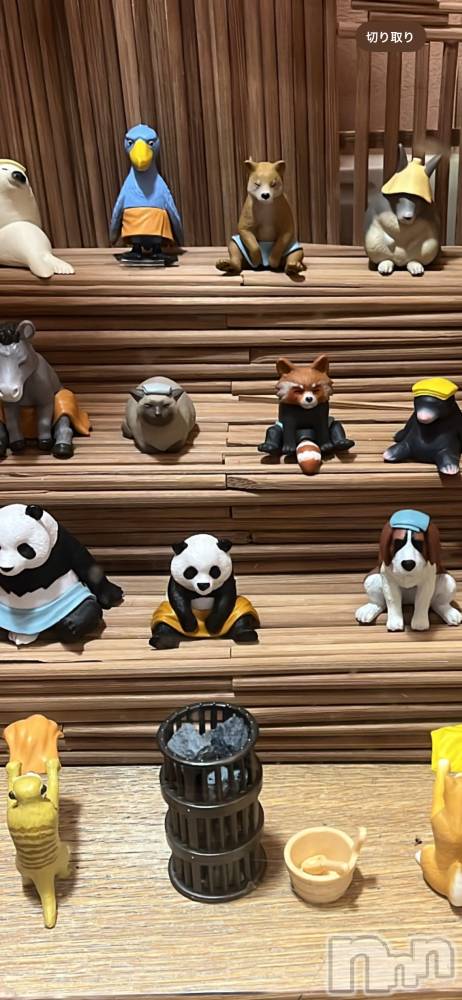 ƲХ顦CLUBS(֥) ޤۤ1211̥֥1211 2010ʬΥ֥