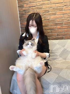 上越デリヘル BLUE BIRD上越店(ブルーバード上越店) のどか(23)の4月12日写メブログ「🐈𝐓𝐡𝐚𝐧𝐤 𝐲𝐨𝐮🐈」