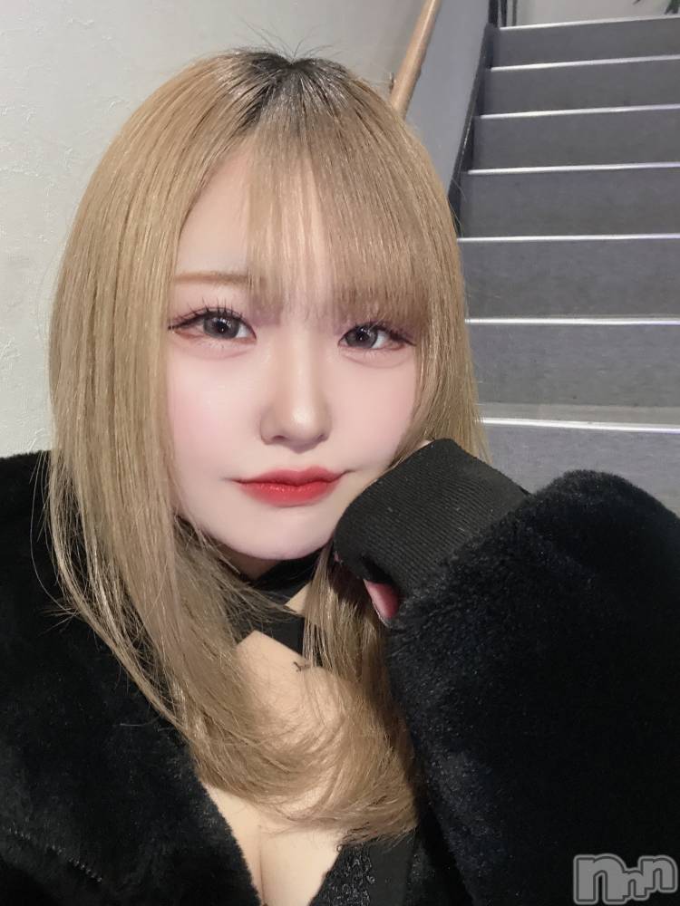 ʥå륺СLAPLUS(ץ饹) 25̥֥֥ץ饹ΡôǤ
