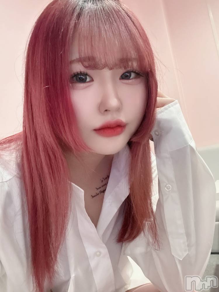 ʥå륺СLAPLUS(ץ饹) 213̥֥ȱȤС