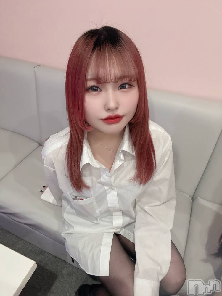 ʥå륺СLAPLUS(ץ饹) 313ֺ̥֥⤤äѤ