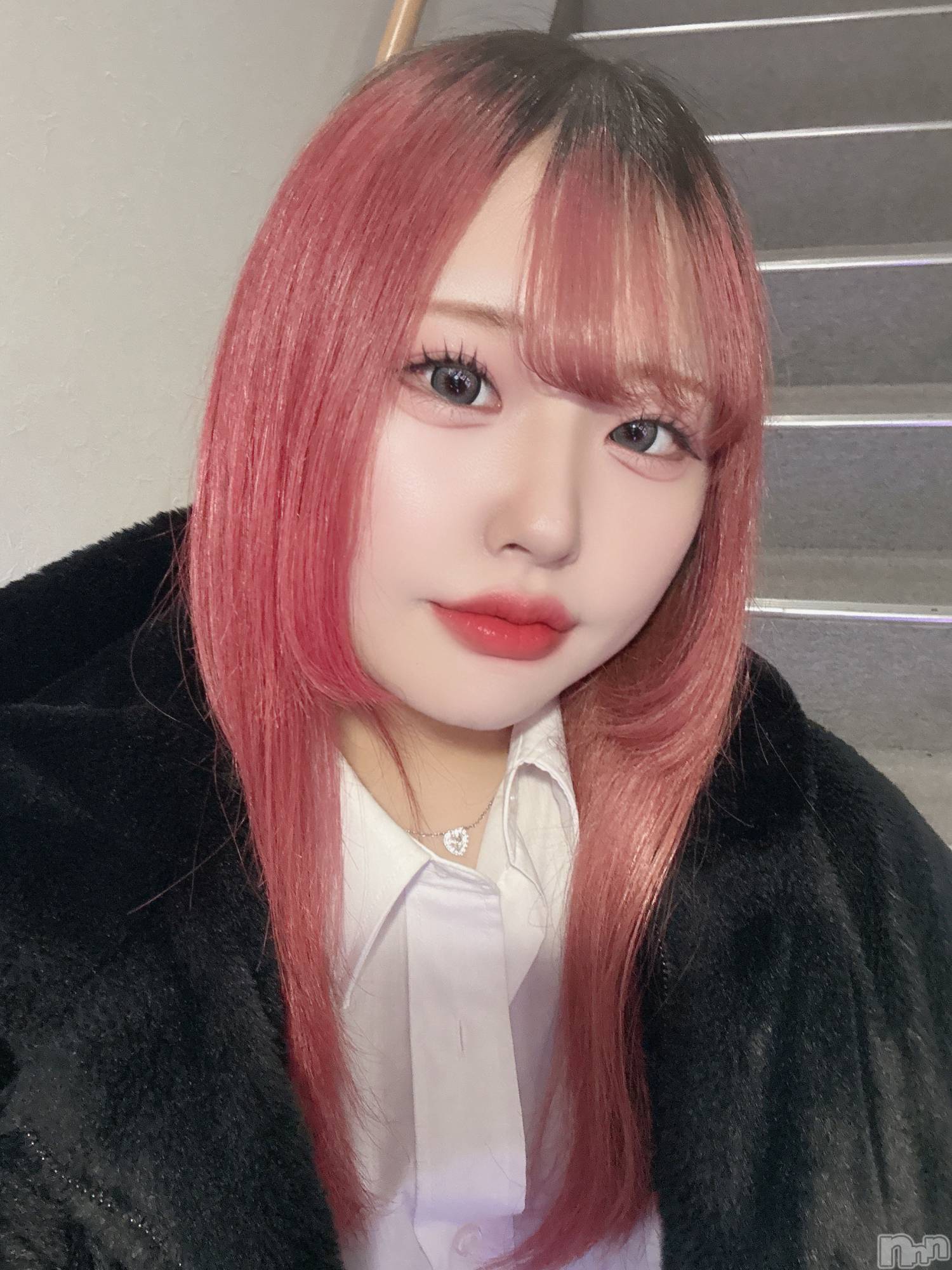 ʥå륺СLAPLUS(ץ饹) 2025ǯ326̥֥֤ε