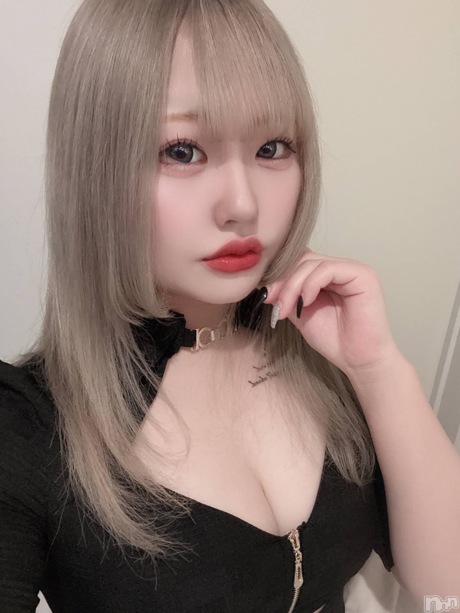 ʥå륺СLAPLUS(ץ饹) 2025ǯ45̥֥٤ߤǤ