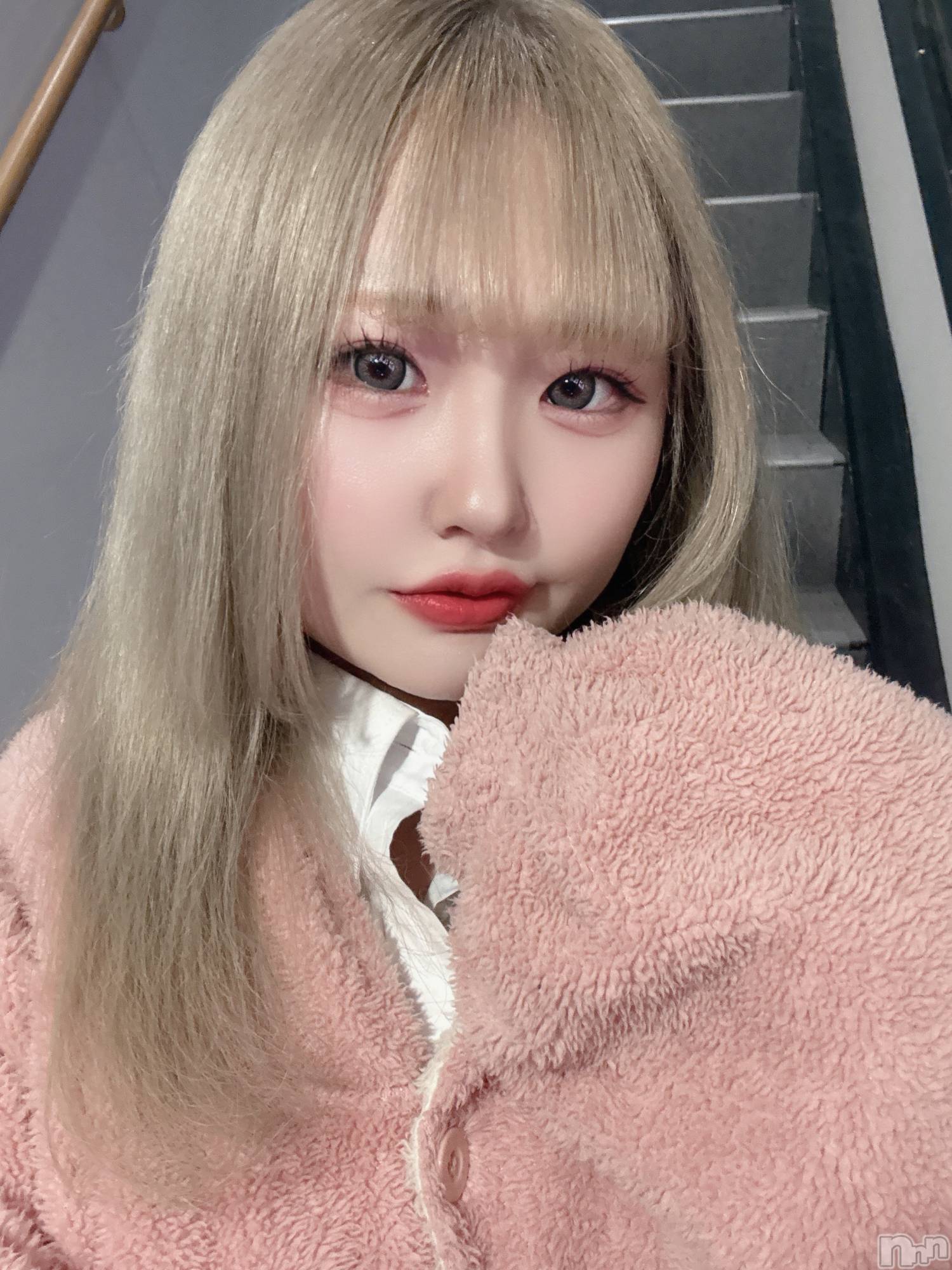 ʥå륺СLAPLUS(ץ饹) 2025ǯ417ֿ̥֥Ҥϰġ