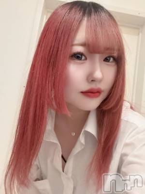 ʥå륺СLAPLUS(ץ饹) 322̥֥֤졩